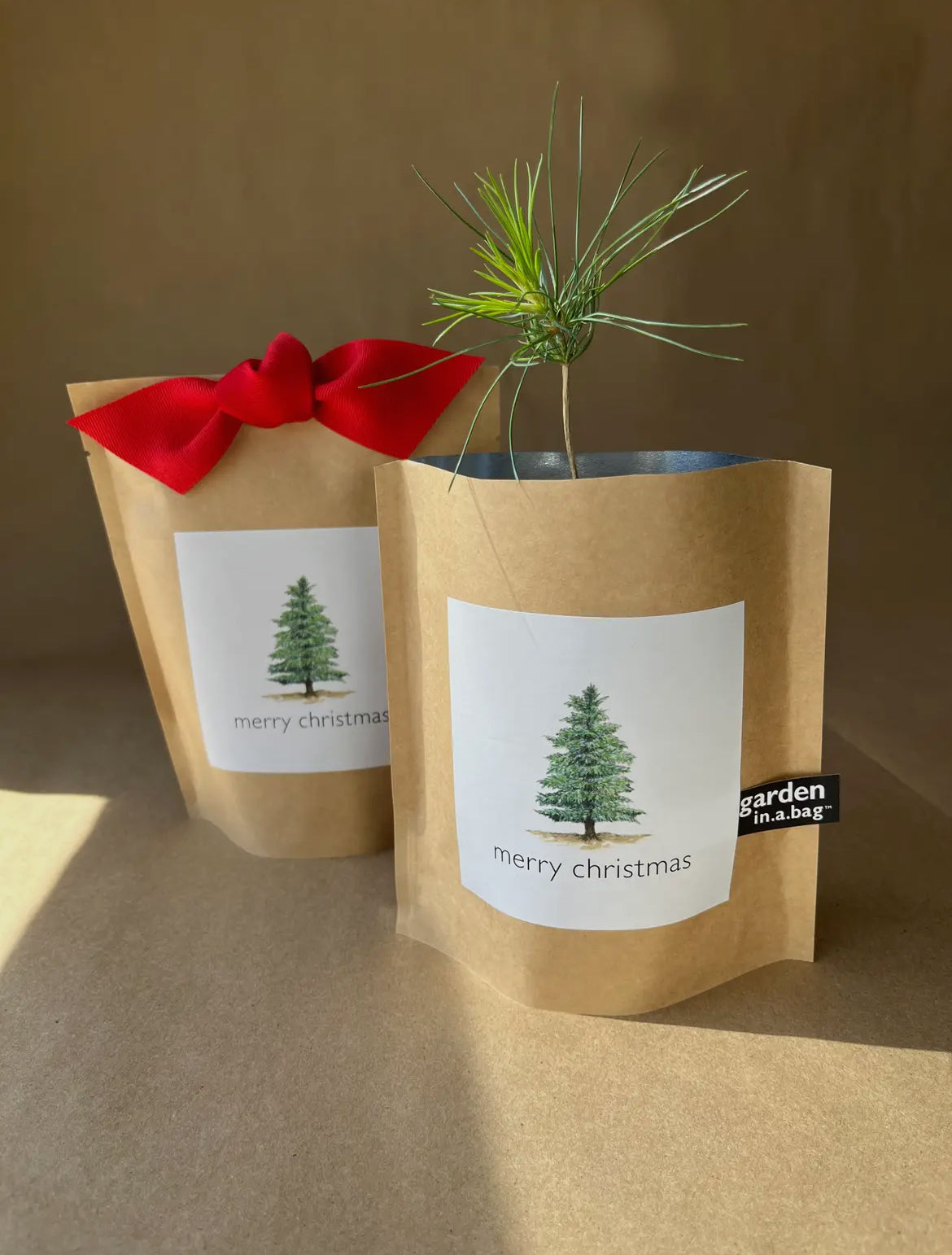 Garden In a Bag