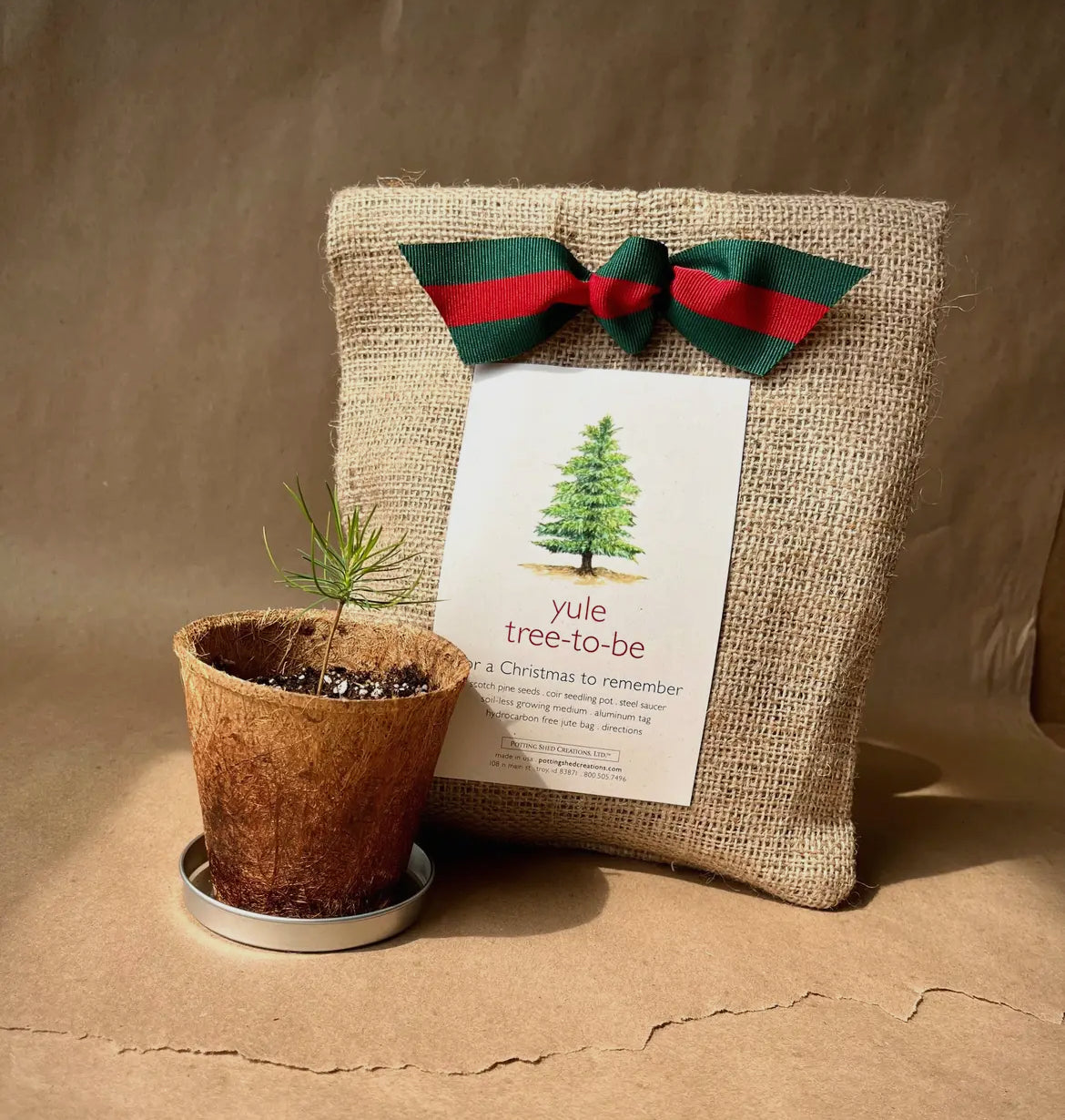 Yule Tree to Be